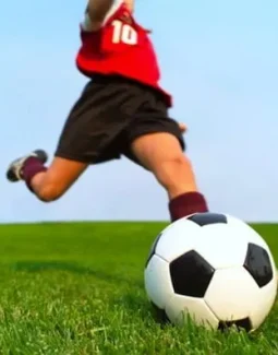 d3bd30bc40132357d07b9e6c428ce754